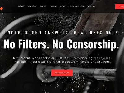 Landing Page - BigDaddyB branding canva design figma graphic design hero banner hero section home page design homepage illustration landing page landing page design motion graphics ui ui design ux ux design
