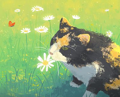 cat's summer