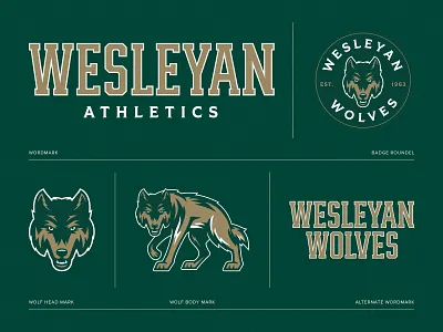 Creative Direction - Wesleyan Athletics Branding athletic athletics branding creative direction mascot