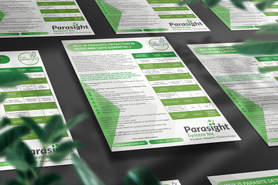 Parasight Infographical Green Flyer infographicart