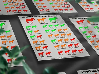 Hoof Wall Separation Disease Infographic Flyer infographicconcept