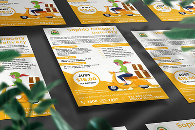 Grocery Delivery Infographical Flyer marketingposter