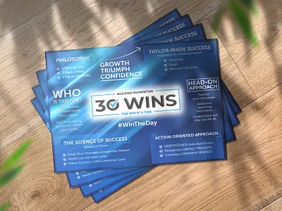 Top 30 Wins Infographic Poster infographicbranding