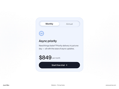 Pricing Cards blue design interaction ui ux web design