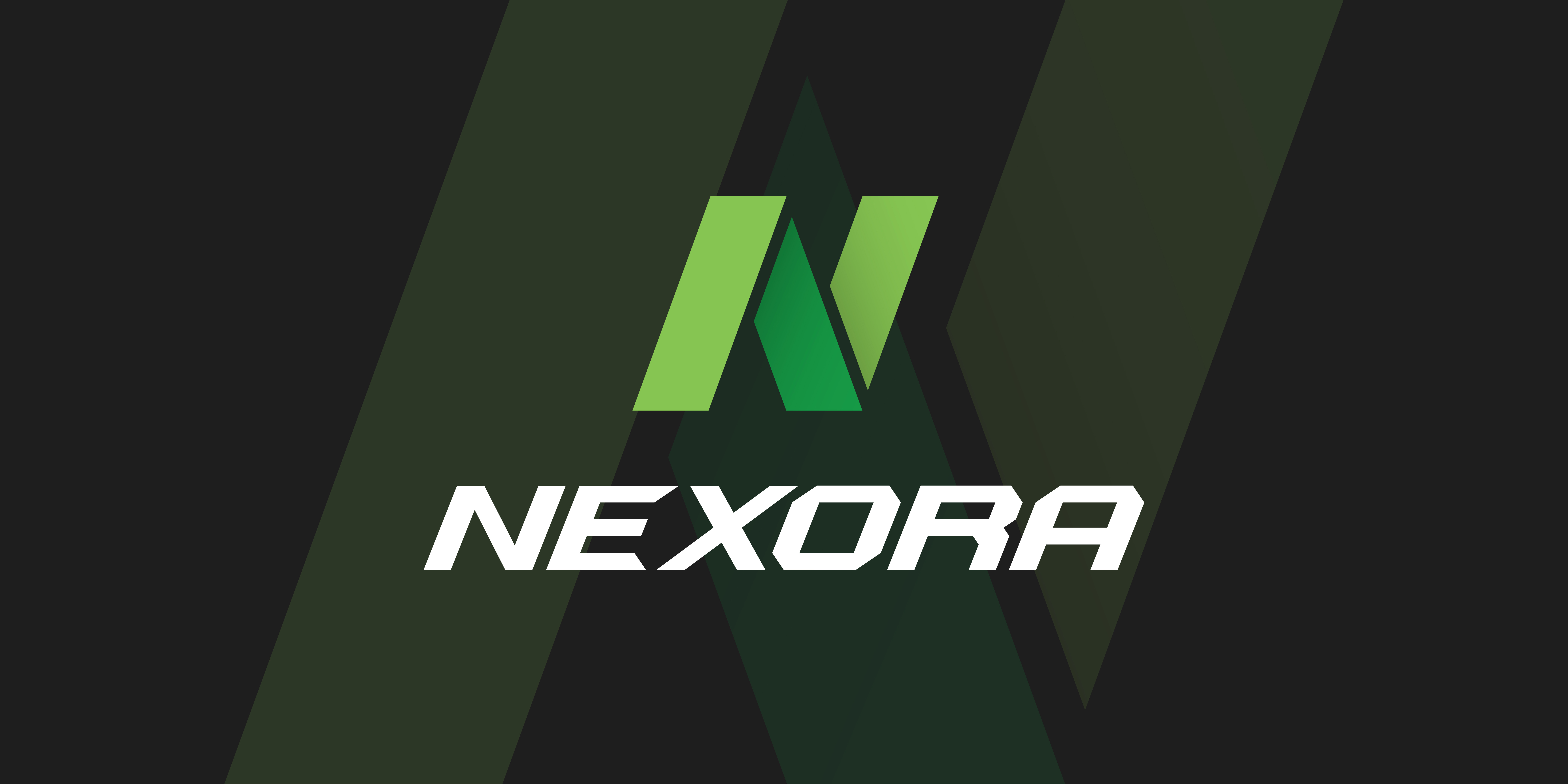 Brand Style Guide (NEXORA) brand identity brand style guide branding business logo graphic design logo design minimalist nexora
