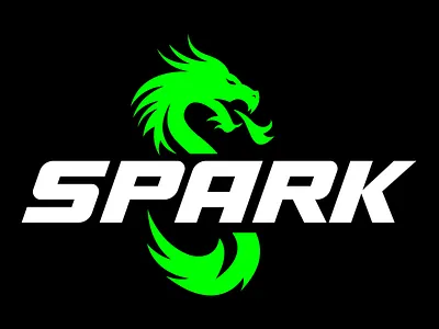 Logo Concept for "Spark" best logo brand identity branding business logo corporate logo creative logo design design flat logo design illustration logo logo designer logo edit logo enhance luxury logo minimalist minimalist logo modern logo premium logo redesign