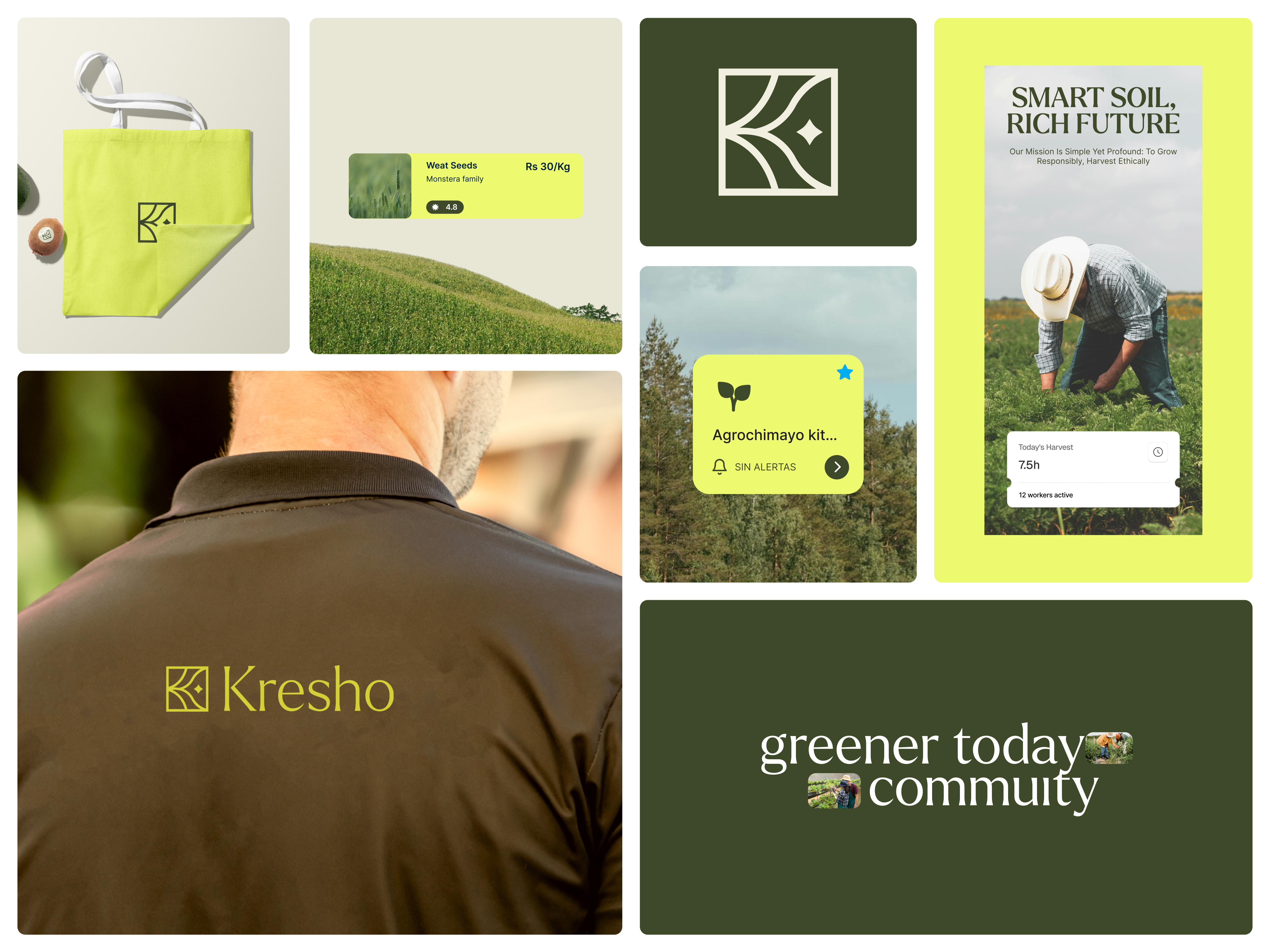 Example of Branding & Website Package