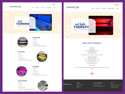 Velocity Tan - Elementor elementor web design web develop wordpress