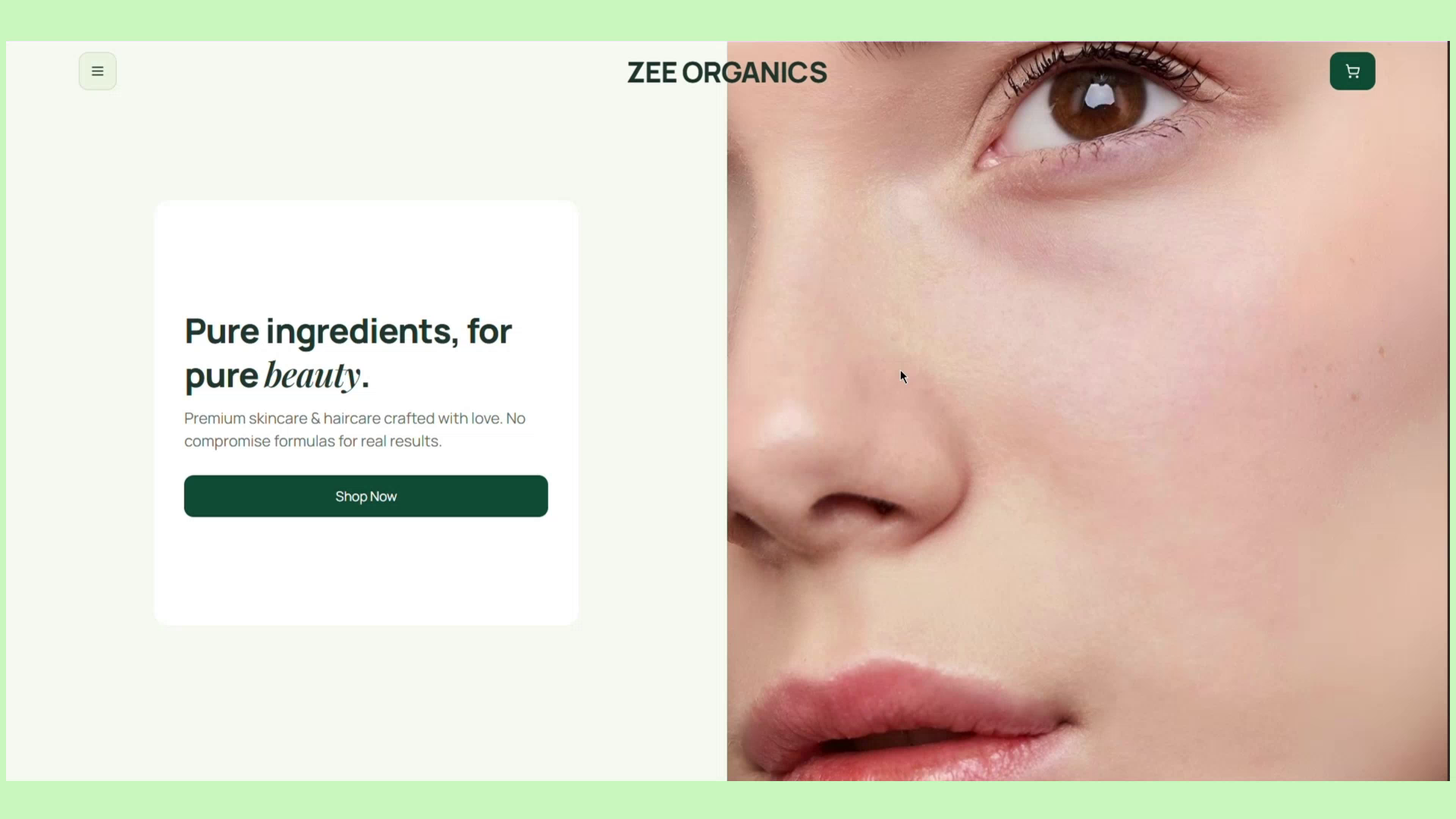 Example of Professional Website + Free Hosting