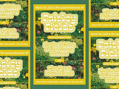 Gig Poster for Paisley Fields display type gig poster graphic design music type design typography