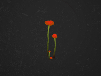 Looping Mushroom GIF after effects animation boil bounce color decomposition forest fungi gif grain illustrator loop looping motion graphics mushroom nature outdoors shroom texture