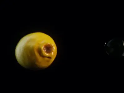 Lemon 3d animation design motion graphics