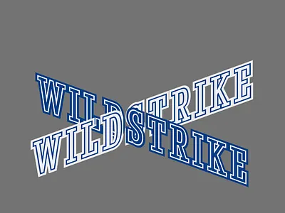 WILDSTRIKE branding graphic design logo textart typography design