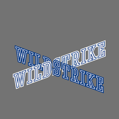 WILDSTRIKE branding graphic design logo textart typography design