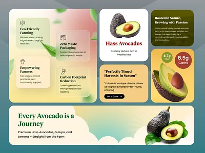 Avcado's supplier about us avocado branding chain logistics cx design eco friendly farming gulupa hass avocados nutrient organic store ui uiux ux webdesign website