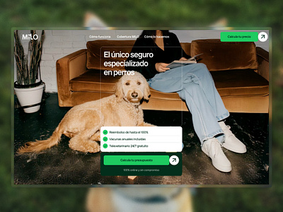 Milo: Simple & Friendly Pet Insurance Experience branding design desktop development figma framer freelance inspiration insurance landingpage mobile veterinary