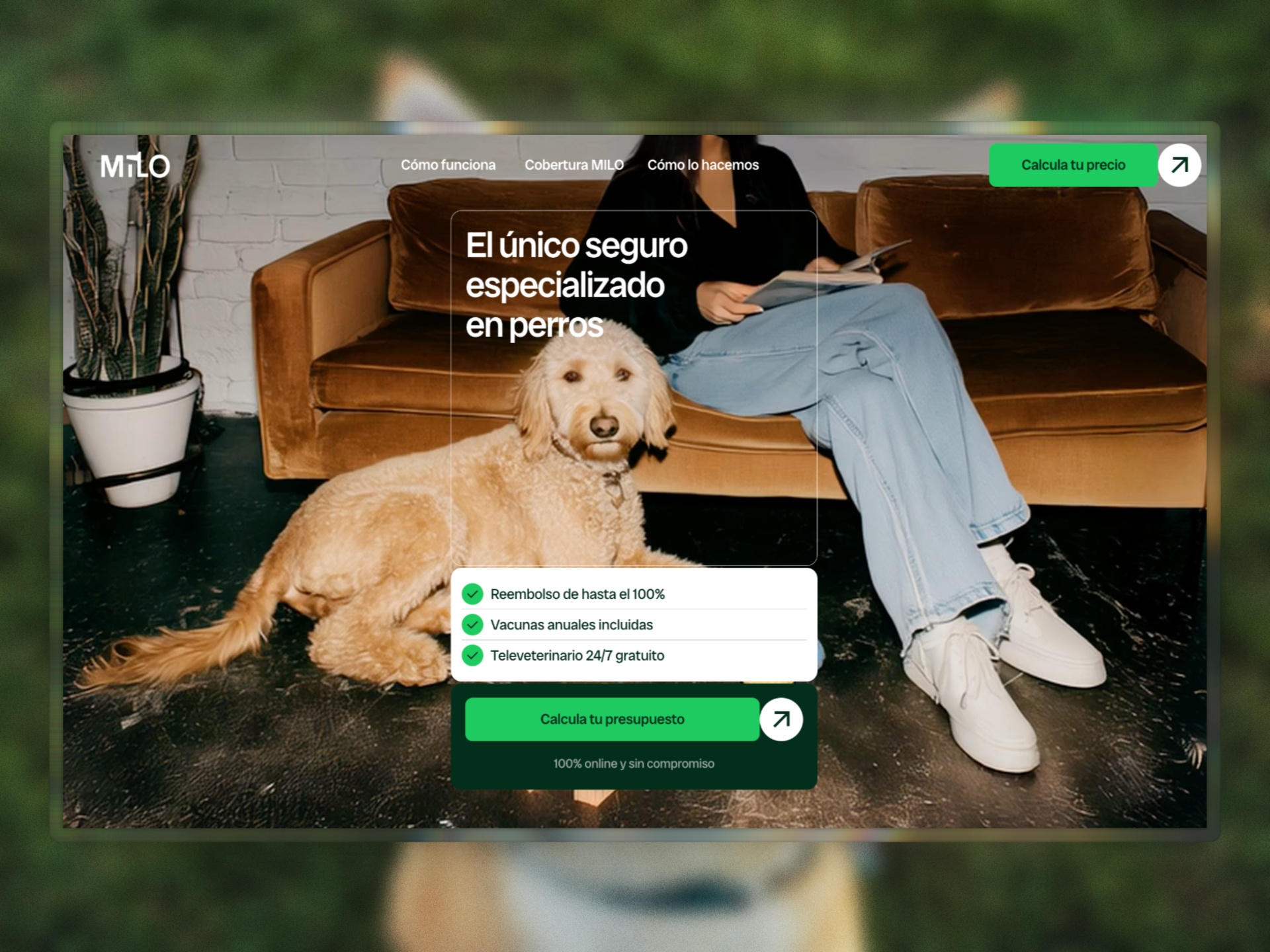 Example of Framer Development From Figma