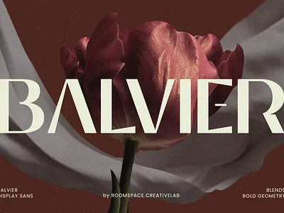 Balvier – Modern Luxury Sans Serif Font billboard bold branding bussines card design display elegant fashion graphic design illustration logo luxury magazine sans serif strong typography