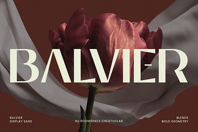 Balvier – Modern Luxury Sans Serif Font billboard bold branding bussines card design display elegant fashion graphic design illustration logo luxury magazine sans serif strong typography
