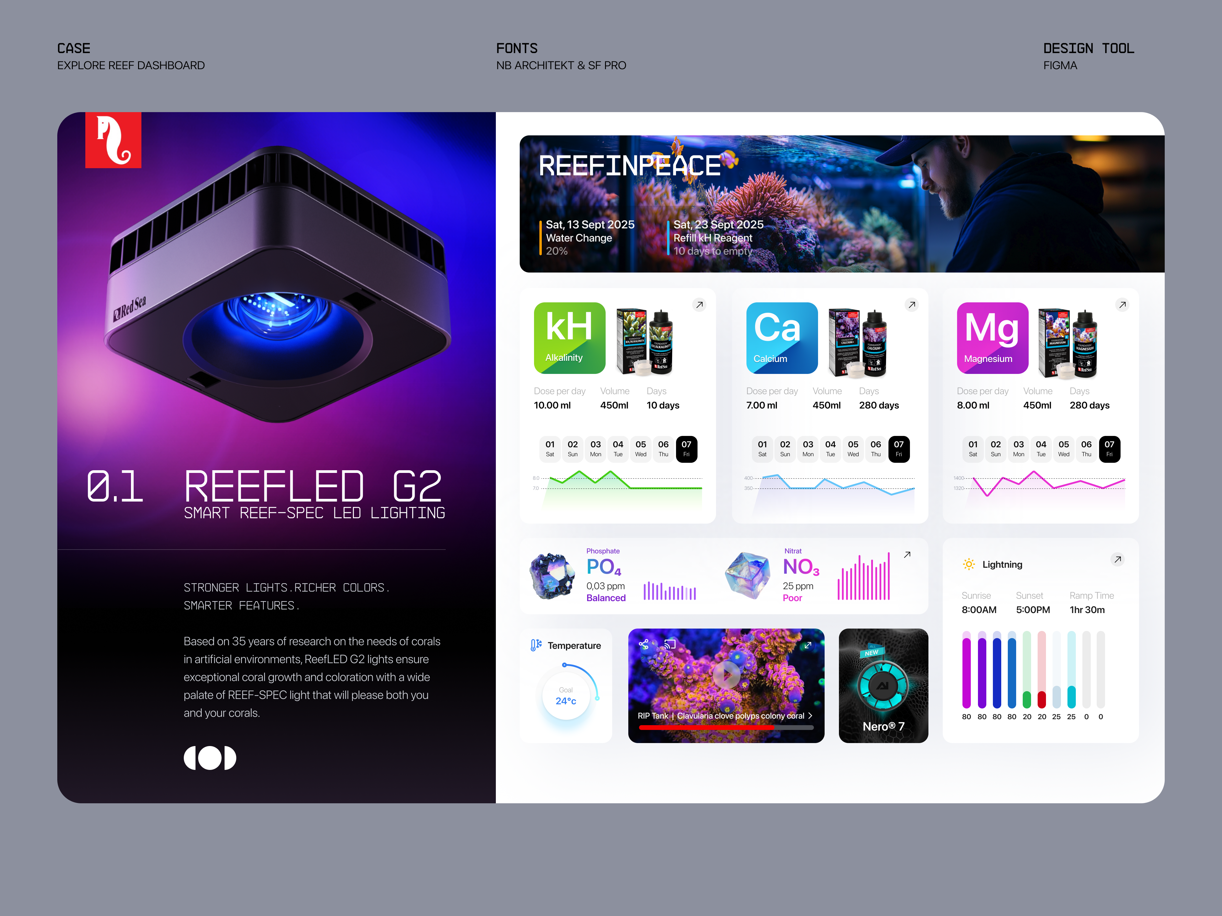 Example of Dashboard Reef ⠿ Work Diary