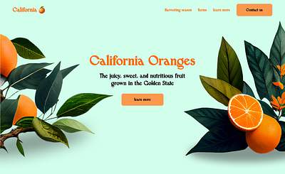 California oranges branding design homepage landing page orange oranges ui web design website