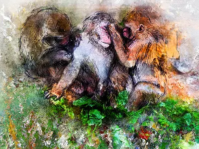 Macaques japonais
