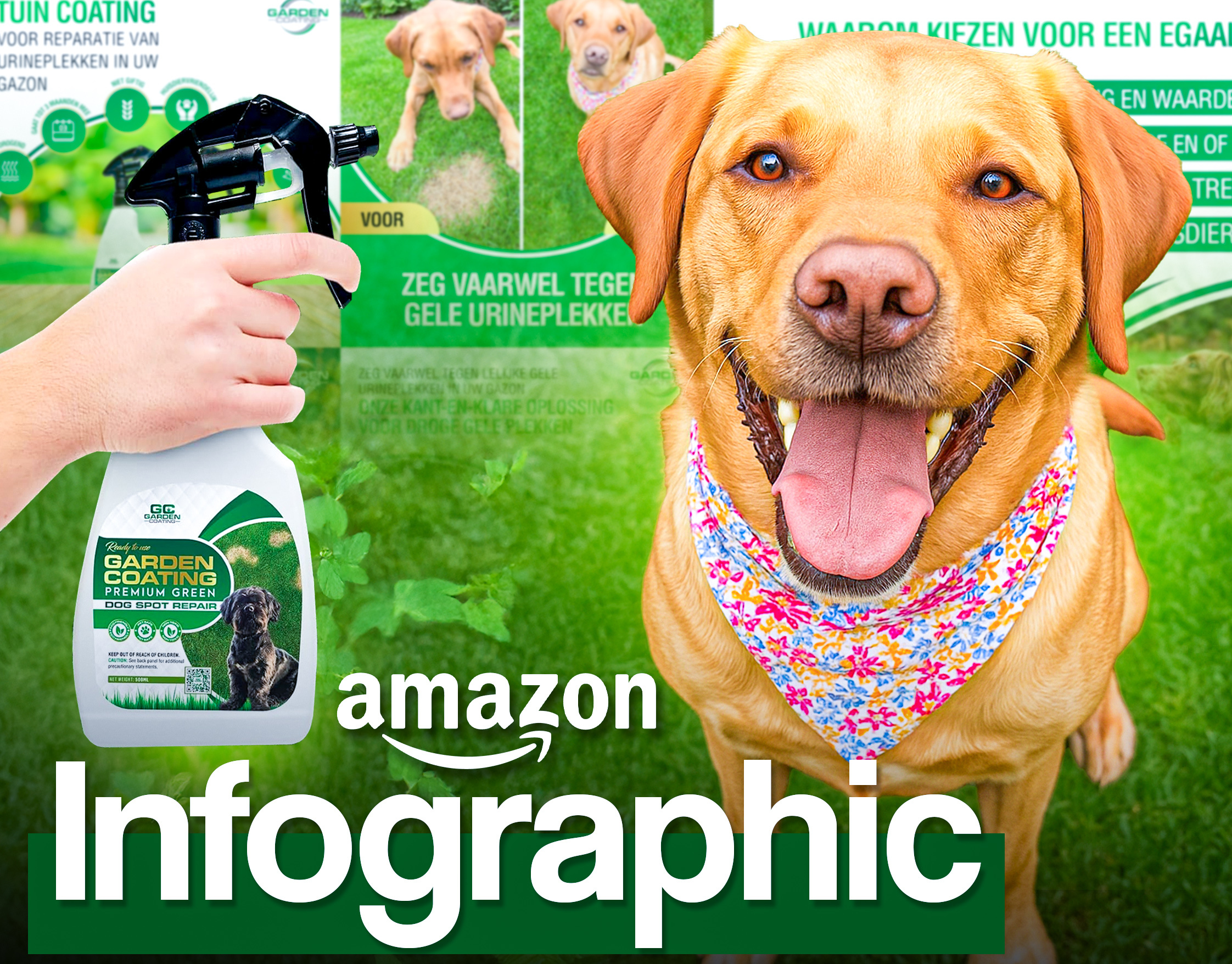 Amazon Listing Images-Dog Spot Repair amazon branding design graphic design graphicdesign illustration listingimages logo photoshop