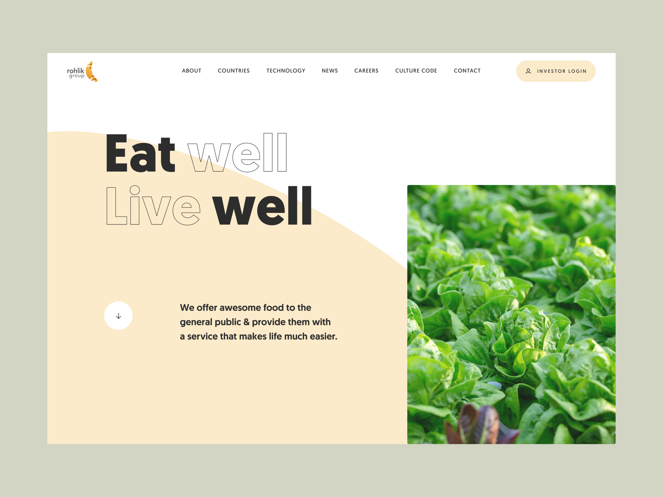 Rohlik Group after effects animation design motion rohlik trau ui ux