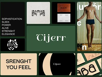 Tijerr | Men Boxers brand alive boxers branding design elegance green logo logotipu kurimas logotype luxury man men pidea power sleek tiger vector visual identity