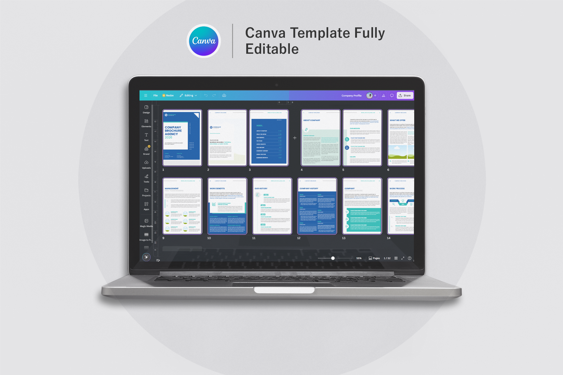 Example of Professional Brochure Template Design