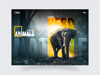 Wildlife Website Landing Page UI 2d 3d animation branding creative agency design agency hero section landing page minimal ui ui design ux ux design website branding website design website ui wildlife wildlife animation wildlife design wildlife ui
