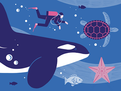 Seed Magazeen colour design editorial illustration illustration print whales