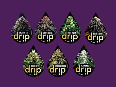 Drip V2 New Bag Shape Design