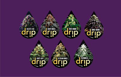 Drip V2 New Bag Shape Design