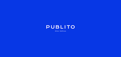 Publito Brand animation branding color design graphic design icon identity illustration logo motion graphics vector