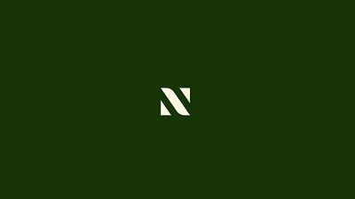 Numinus Brand branding color design graphic design identity logo vector