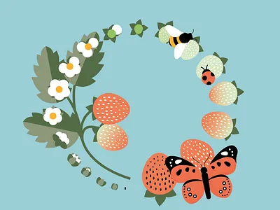 Strawberry life cycle infographic botanical botany illustration infographic strawberry vector