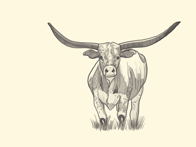 Longhorn graphic design illustration