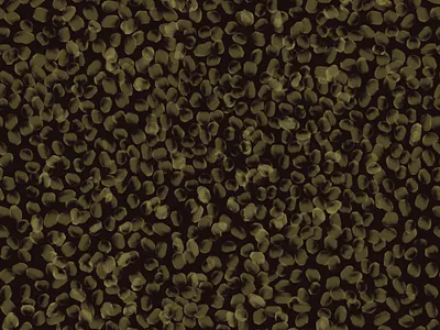 Green Floral Petals on Black. Seamless pattern fabric fashion floral green pattern petal seamless textile
