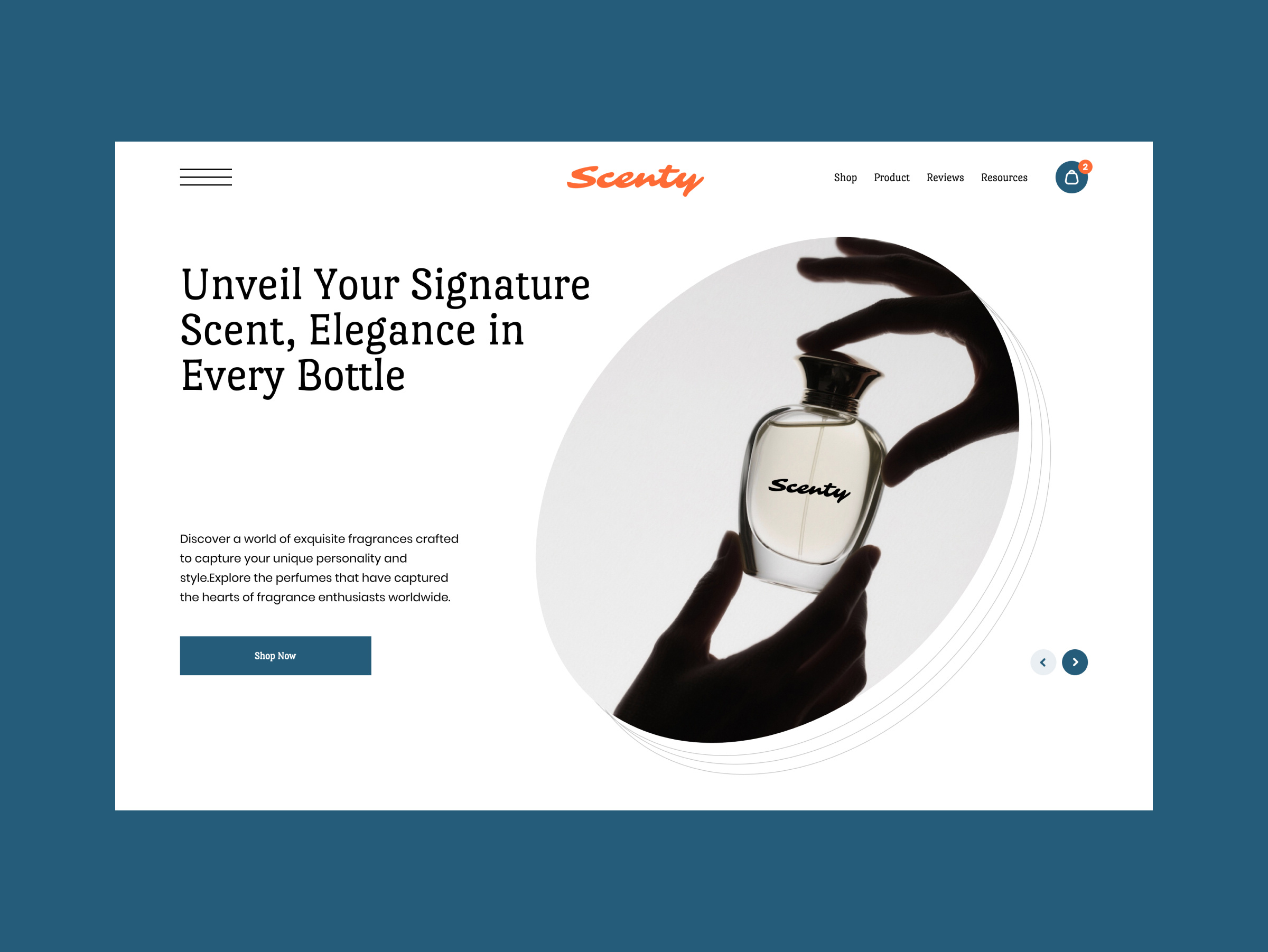 Example of Premium Landing Page Design