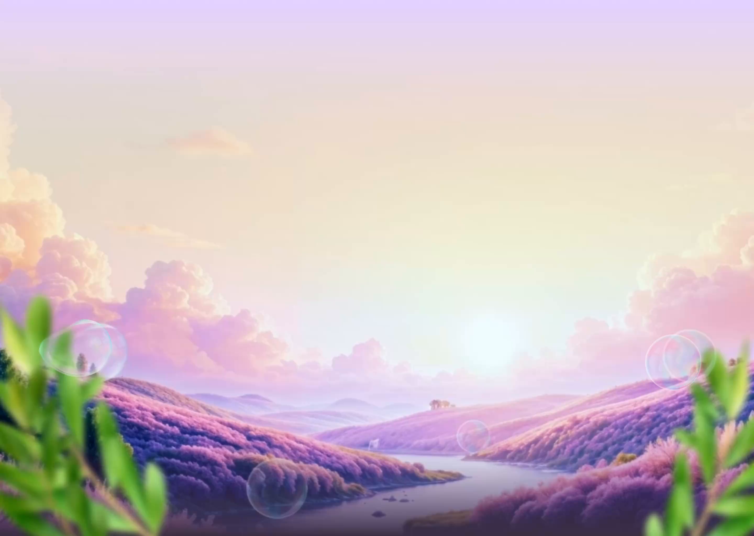 Example of Framer Development