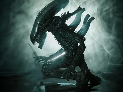 Insure return of organism for analysis