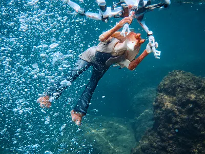 Dusa Clanker water bomaa!