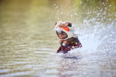 Paploo to the rescue!!
