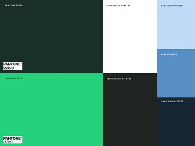 Interesting Braning branding color palette color palette green design digital bank graphic design high performance baking illustration interest interesting logo niche nymbus typography