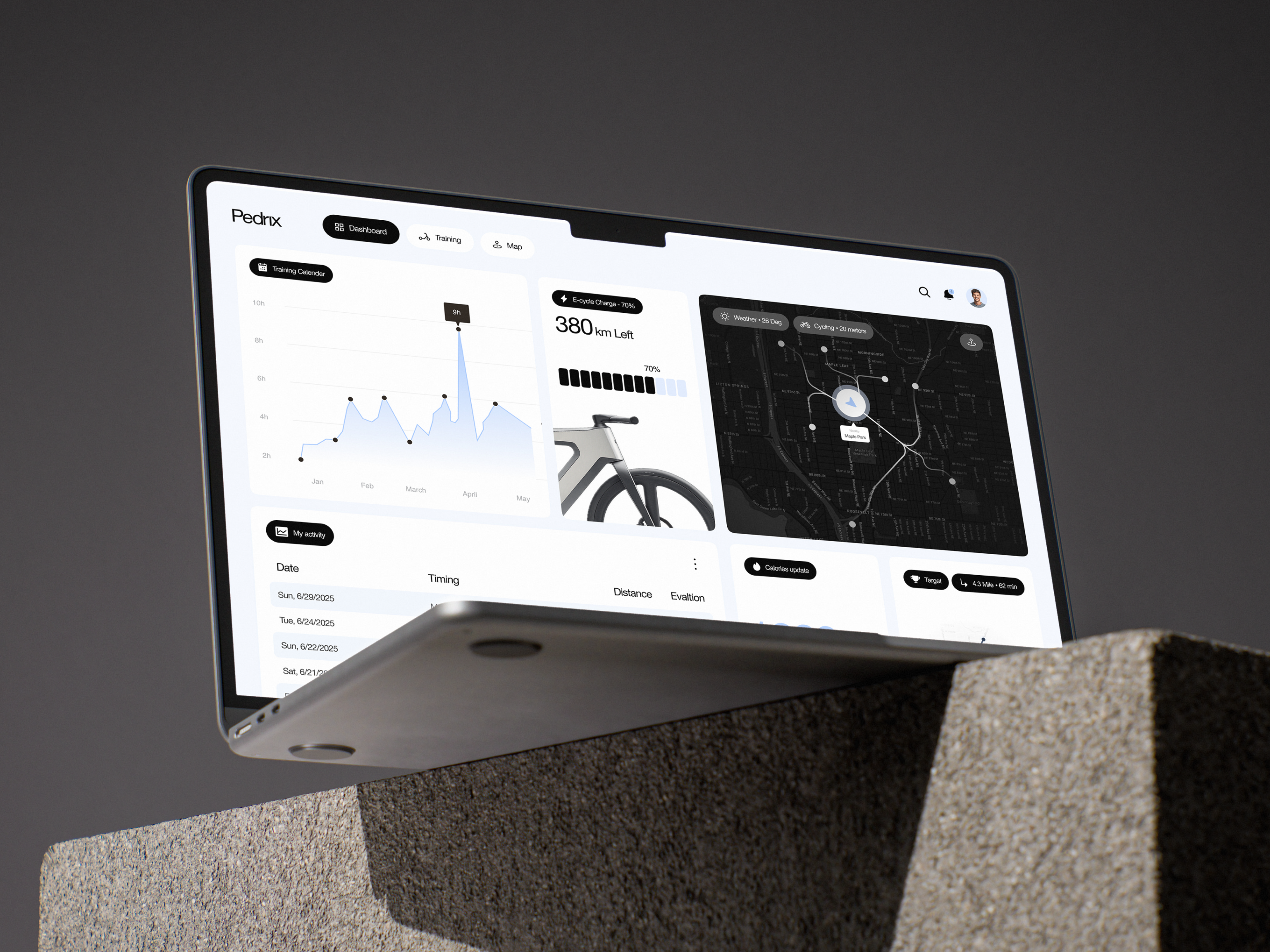 Example of Saa S Dashboard UI 