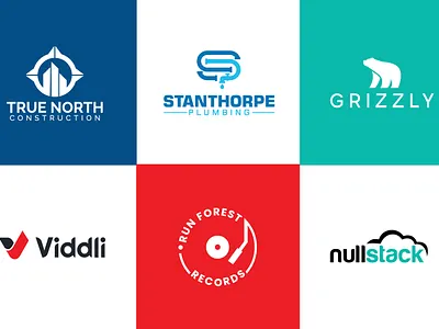 Premium Logo Design brand logo custom logo flat logo graphic design illustration logo logo design modern logo premium logo