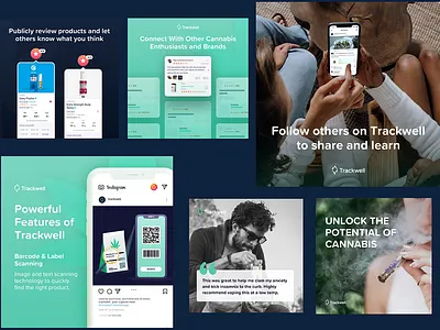 TrackWell Social Media Creatives branding graphic design illustration post social media social media post