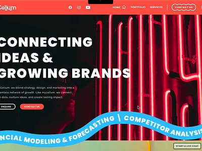 Celium Brand & Website Design bold branding colourful creative graphic design logo ui vector shapes web design