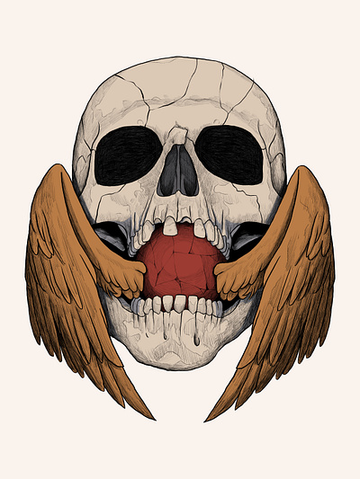 Skull Illustration graphic design illustration merchandise design skull